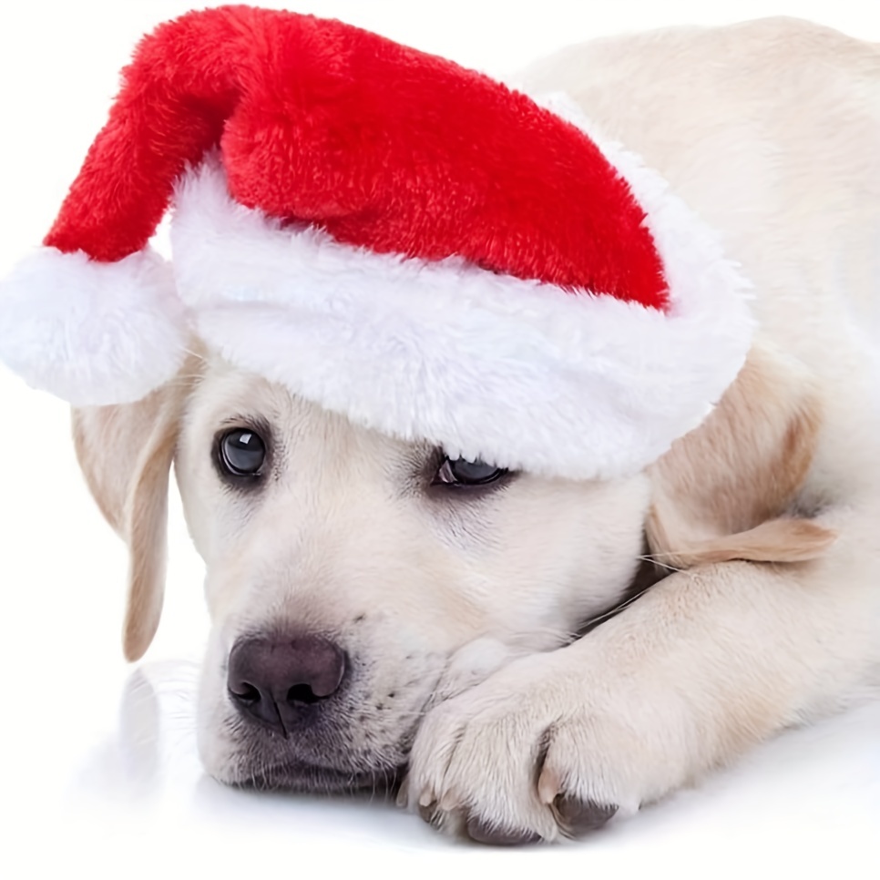 Santa Hat Plush - 1-10 SZTUK Luksusowy Miękki Pluszowy Świąteczny