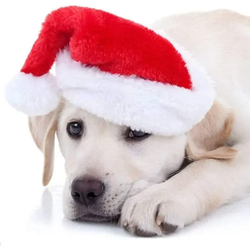 Świąteczna czapka Świętego Mik – Santa Hat Plush recenzja i cena