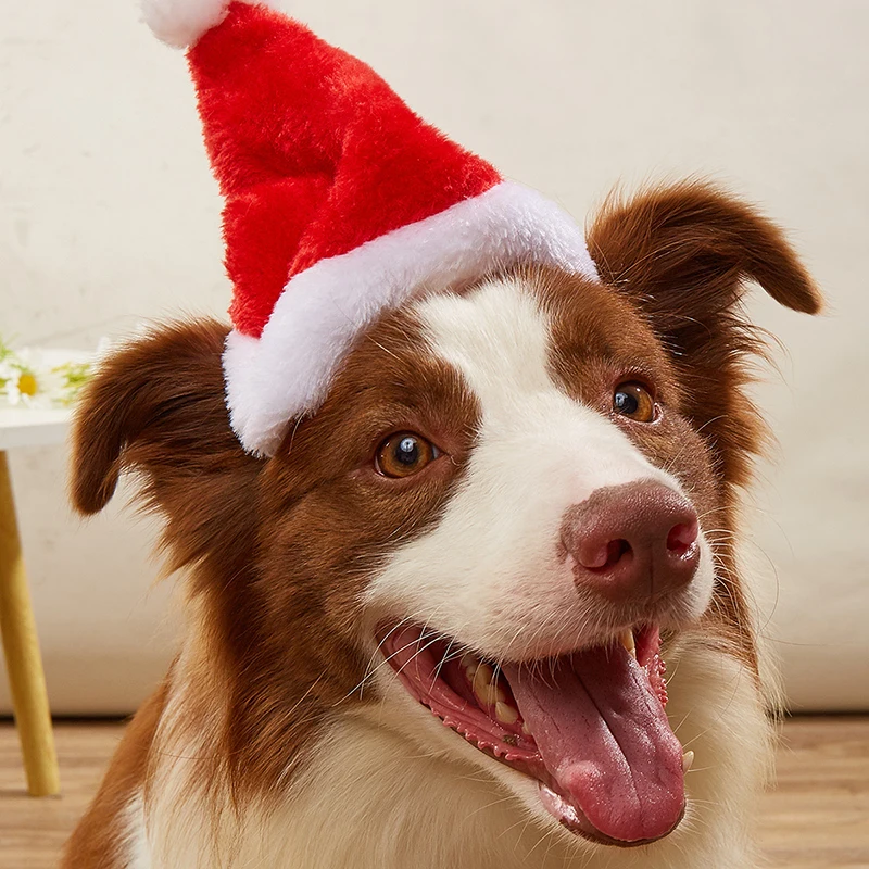 1-10 SZTUK Luksusowy Miękki Pl – Santa Hat Plush recenzja i cena